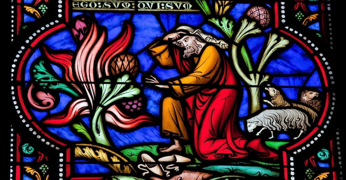 10 Things You Might Not Know About Moses In The Bible